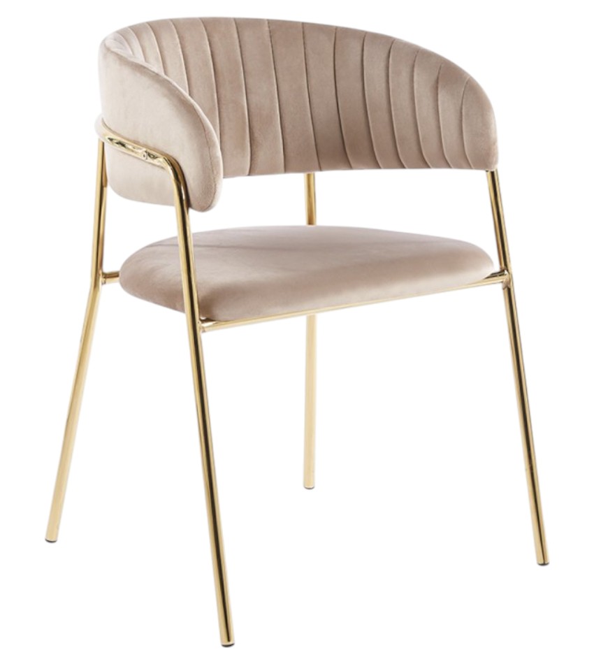 Silla Fox